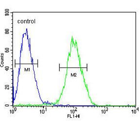 Flow cytometric analysis of Jurkat cells (right histogram) labeling RPS3A with ab174894 at 1/10 dilution, compared to a negative control cell (left histogram). FITC-conjugated goat-anti-rabbit secondary antibodies were used for the analysis.
