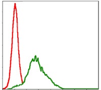 Flow cytometric analysis of HepG2 cells using ab119931 at 1/200 dilution (green) and negative control (red).