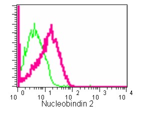 Flow cytometric analysis of 2% paraformaldehyde-fixed HepG2 cells labeling Nucleobindin 2 with ab181159 at 1/500 dilution (red) compared to a Rabbit monoclonal IgG isotype control (green), followed by Goat anti-rabbit IgG (FITC) secondary antibody at 1/150 dilution.
