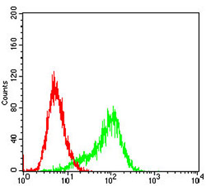 Flow cytometric analysis of HeLa cells using ab201988 at 1/200 dilution (green) and negative control (red).