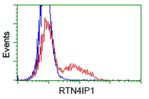 HEK293T cells transfected with either RTN4IP1 overexpression plasmid(red) or empty vector control plasmid(blue) were immunostained by ab118400 at 1/00 dilution, and then analyzed by flow cytometry.