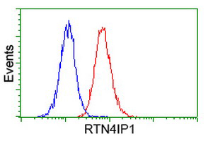 ab118400 at 1/100 dilution staining RTN4IP1 in Jurkat cells by Flow cytometry (Red) compared to a nonspecific negative control antibody (Blue).