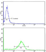 Flow cytometric analysis of MDA-231 cells labeling Rubicon with ab173930 at 1/10 dilution (bottom histogram), compared to negative control cells (top histogram). FITC-conjugated goat-anti-rabbit secondary antibodies were used for the analysis.