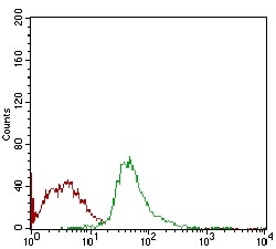 Flow Cytometrical analysis of Jurkat cells labeling SCP3 with ab181746 at 1/200 (green) compared to a negative control antibody (red).