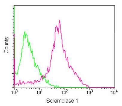 Flow cytometric analysis of A431 cells (2% paraformaldehye-fixed) labeling Scramblase 1 with ab180518 at 1/50 dilution (red) compared with a Rabbit monoclonal IgG control (green). Goat anti-rabbit IgG (FITC) secondary antibody was used at 1/75 dilution.