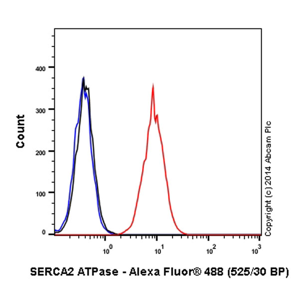 Overlay histogram showing HeLa cells stained with ab195544 (red line). The cells were fixed with 80% methanol (5 min) and then permeabilized with 0.1% PBS-Tween for 20 min. The cells were then incubated in 1x PBS / 10% normal goat serum / 0.3M glycine to block non-specific protein-protein interactions followed by the antibody (ab195544, 1/500 dilution) for 30 min at 22°C. Isotype control antibody (black line) was rabbit IgG (monoclonal) Alexa Fluor® 488 used at the same concentration and conditions as the primary antibody. Unlabelled sample (blue line) was also used as a control.Acquisition of >5,000 events were collected using a 20mW Argon ion laser (488nm) and 525/30 bandpass filter.