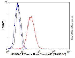 Overlay histogram showing HepG2 cells stained with ab137020 (red line). The cells were fixed with 4% paraformaldehyde (10 min) and then permeabilized with 0.1% PBS-Tween for 20 min. The cells were then incubated in 1x PBS / 10% normal goat serum / 0.3M glycine to block non-specific protein-protein interactions followed by the antibody (ab137020, 1/1000 dilution) for 30 min at 22°C. The secondary antibody used was Alexa Fluor® 488 goat anti-rabbit IgG (H+L) (ab150077) at 1/2000 dilution for 30 min at 22°C. Isotype control antibody (black line) was rabbit IgG (monoclonal) (0.1μg/1x106 cells) used under the same conditions. Unlabelled sample (blue line) was also used as a control. Acquisition of >5,000 events were collected using a 20mW Argon ion laser (488nm) and 525/30 bandpass filter. This antibody gave a positive signal in HepG2 cells fixed with 80% methanol (5 min)/permeabilized with 0.1% PBS-Tween for 20 min used under the same conditions.