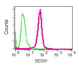 Flow Cytometry analysis of permeabilized K562 cells labelling SESN1 with ab134091 at 1/100 dilution (red). Rabbit IgG (negative control) shown in green.
