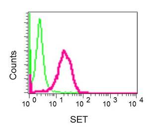 Flow cytometry analysis of permeabilized Jurkat cells labeling SET (red) with ab176567 at a 1/10 dilution, or negative control rabbit IgG (green)