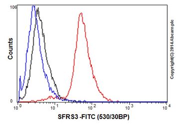 Flow cytometric analysis of 2% paraformaldehyde-fixed Jurkat (Human T Cell Leukemia cells from peripheral blood) labeling SFRS3 with ab198291 at 1/440 dilution (red) compared with a Rabbit monoclonal IgG isotype control (black) and an unlabelled control (cells without incubation with primary antibody and secondary antibody; blue). Goat anti rabbit IgG (FITC) at 1/150 dilution was used as the secondary antibody.