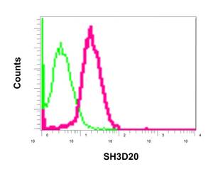 Flow cytometric analysis of permeabilized A549 cells labeling SH3D20 with ab171973 at 1/10 dilution (red) or a Rabbit IgG (negative) (green).