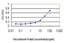 Detection limit for recombinant tagged SHMT1 is approximately 1 ng/ml as a capture antibody.