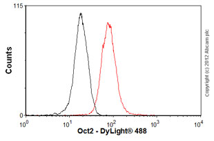 Overlay histogram showing Raji cells stained with ab92458 (red line). The cells were fixed with 80% methanol (5 min) and then permeabilized with 0.1% PBS-Tween for 20 min. The cells were then incubated in 1x PBS / 10% normal goat serum / 0.3M glycine to block non-specific protein-protein interactions followed by the antibody (ab92458, 1:50) for 30 min at 22ºC. The secondary antibody used was DyLight® 488 goat anti-rabbit IgG (H+L) (ab96899) at 1:500 dilution for 30 min at 22ºC. Isotype control antibody (black line) was rabbit IgG (monoclonal) (1µg/1x106 cells) used under the same conditions. Acquisition of >5,000 events was performed.