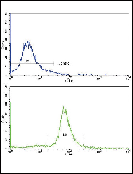 Flow cytometric analysis of ATDC5 cells using ab91418 (green histogram) compared to a negative control cell (blue histogram). FITC-conjugated goat-anti-rabbit secondary antibodies were used for the analysis.
