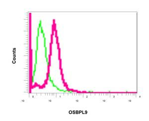 Flow cytometric analysis of permeabilized 293T cells labeling OSBPL9 with ab151691 at 1/10 dilution (red) compared to a nonspecific control antibody (green).