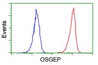 ab119311 at 1/100 dilution staining OSGEP in Jurkat cells by Flow cytometry (Red) compared to a nonspecific negative control antibody (Blue).