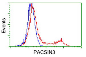 ab123913 at 1/100 dilution staining in PACSIN3 HEK293T cells transfected with either pCMV6-ENTRY PACSIN3 (Red) or empty vector control plasmid (Blue) by flow cytometry.
