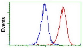 ab128086, at a dilution of 1/100, staining PADI4 / PAD4 in Jurkat cells (Red), compared to a nonspecific negative control antibody (Blue), analysed by Flow cytometric.