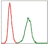 ab125687 at 1/200 dilution staining PAI1 in NIH 3T3 cells by Flow Cytometry (green), negative control (red).