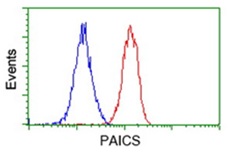 Flow cytometry analysis of Jurkat cells, labeling PAICS using ab174685 antibody at 1/100 dlution (Red), compared to a nonspecific negative control antibody, (Blue).