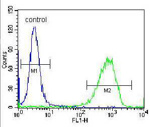 Flow cytometric analysis of K562 cells (right histogram) compared to a negative control cell (left histogram) labeling PAICS using ab171381 at 1/10. FITC-conjugated donkey-anti-rabbit secondary antibodies were used for the analysis.