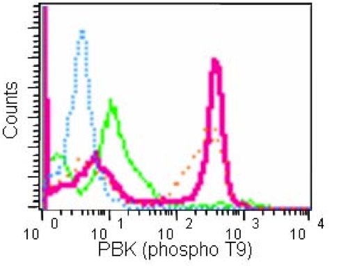 Flow cytometric analysis of 2% paraformaldehyde-fixed, permeabilized HeLa cells treated with Nocodazole labeling PBK (phospho T9) with ab184953 at 1/100 dilution (red) compared to untreated HeLa cells (green), followed by Goat anti rabbit IgG (FITC) secondary antibody at 1/150 dilution. Nocodazole-treated HeLa cells labeled using ab184953 preincubated with phospho PBK (phospho T9) peptide (blue) or non phosphopeptide (orange).