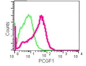 Flow cytometric analysis of 2% paraformaldehyde-fixed MCF7 cells labeling PCGF1 with ab183499 at 1/100 dilution, compared to a Rabbit monoclonal IgG isotype control, followed by a Goat anti rabbit IgG (FITC) secondary antibody at 1/150 dilution.