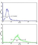 Flow cytometric analysis of HeLa cells labelling PDIA6 with ab135594 at 1/50 dilution (bottom histogram) compared to a negative control cell (top histogram). FITC conjugated Goat anti Rabbit secondary antibodies were used for the analysis.