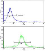 Flow cytometric analysis of widr cells (bottom histogram) labelling Pea3 with ab135590 at a 1/10 dilution, compared to a negative control cell (top histogram). FITC-conjugated Goat-anti-Rabbit secondary antibodies were used for the analysis.