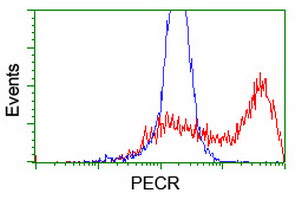 ab128484 at 1/100 dilution staining PECR in HEK293T cells transfected with either pCMV6-ENTRY PECR (Red) or empty vector control plasmid (Blue) by flow cytometry.