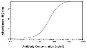 Ab37736, staining NMT2 by ELISA. Protein was used as the test antigen. A fixed amount of antigen (5 µg/ml) was tested against serial dilutions of antibody.