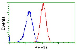 Flow cytometric analysis of HeLa cells using ab119016 at 1/100 dilution (Red) compared to a nonspecific negative control antibody (Blue).