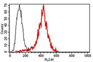 Flow cytometric analysis of Perforin in YT-Indy cell line with ab47226.