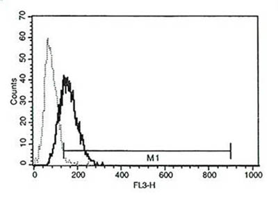 A typical staining pattern on YT cell line.