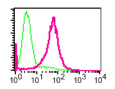 Flow cytometric analysis of TLR1 in Daudi cells using ab68158 at 1/60 dilution (pink) or a rabbit IgG (green).