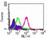 Flow cytometric analysis of Ramos cells labeling TLR6 with ab189099 at 2 µg/106 cell (red histogram) . Shaded histogram represents cells without antibody; green represents isotype control.