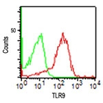 Flow Cytometric analysis of TLR9 in Human PBMC cells labelled with ab134368 at 0.5µg (Red), or isotype control antibody (green).