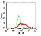 Flow Cytometry analysis of fixed and permeabilized TLR9 transfected HEK 293 cells, stained with either anti-rat IgG-FITC alone (green line) or with 1 µg of ab151221 followed by anti-rat IgG-FITC (red line).