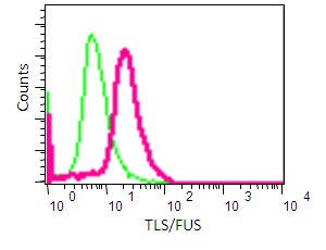 Flow cytometry analysis of NIH/3T3 cells labelling TLS/FUS with purified ab133571 (red) at 1/50. Cells were fixed with 2% paraformaldehyde. A FITC-conjugated goat anti-rabbit IgG (1/150) was used as the secondary antibody. Green - Isotype control, rabbit monoclonal IgG.