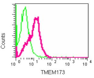 Flow cytometry analysis of THP1 cells using ab181125 at a 1/10 dilution (red) or a Rabbit monoclonal IgG (negative) (green). Goat anti rabbit IgG (FITC) secondary used at a 1/150 dilution.