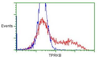 ab128112 at 1/100 dilution staining TPRKB in HEK293T cells transfected with either pCMV6-ENTRY TPRKB overexpress plasmid (Red) or empty vector control plasmid (Blue) by Flow Cytometry.