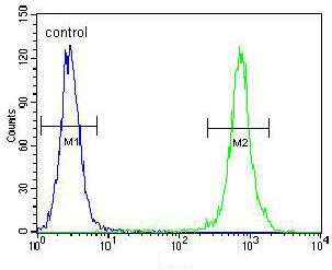 Flow cytometric analysis of HeLa cells (right histogram) labeling TRADD with ab170371 at 1/10 dilution, compared to a negative control cell (left histogram). FITC-conjugated goat-anti-rabbit secondary antibodies were used for the analysis.