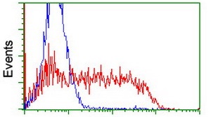 ab128109, at a dilution of 1/100, staining TRIP in HEK293T cells transfected with either pCMV6-ENTRY TRIP overexpress plasmid (Red) or empty vector control plasmid (Blue) by Flow Cytometry.