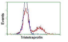 ab124024 at 1/100 dilution staining Tristetraprolin in HEK293T cells transfected with either pCMV6-ENTRY Tristetraprolin (Red) or empty vector control plasmid (Blue) by flow cytometry.