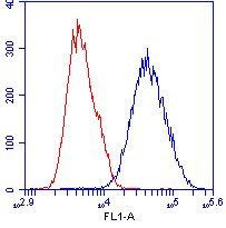 Fibroblast (HDFn) cells were stained with 1µg/mL SLIRP antibody (ab119687) (blue) or an equal amount of an isotype control antibody (red) and analyzed by flow cytometry.