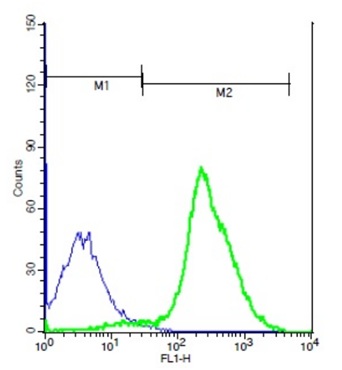 Flow Cytometry analysis of Mouse thymocytes labeling TSH Receptor using ab202960 at 1/100 dilution (green) followed by a FITC conjugated secondary compared to control cells (blue).