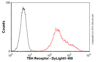 Overlay histogram showing HeLa cells stained with ab6044 (red line). The cells were fixed with 80% methanol (5 min) and incubated in 1x PBS / 10% normal goat serum / 0.3M glycine to block non-specific protein-protein interactions. The cells were then incubated with the antibody (ab6044, 1µg/1x106 cells) for 30 min at 22ºC. The secondary antibody used was DyLight® 488 goat anti-mouse IgG (H+L) (ab96879) at 1/500 dilution for 30 min at 22ºC. Isotype control antibody (black line) was mouse IgG2b [PLPV219] (ab91633, 2µg/1x106 cells) used under the same conditions. Acquisition of >5,000 events was performed.Please note that Abcam do not have any data for use of this antibody on non-fixed cells. We welcome any customer feedback.