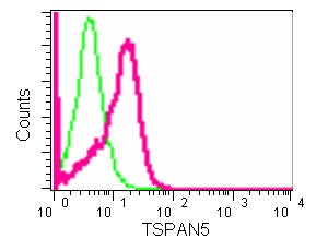 Flow cytometric analysis of 2% paraformaldehyde-fixed HeLa cells labeling TSPAN5 with ab181109 at 1/10 dilution (red), compared to a Rabbit monoclonal IgG isotype control (green), followed by Goat anti rabbit IgG (FITC) secondary antibody at 1/150 dilution.