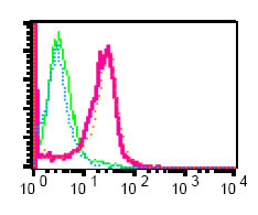 Flow cytometric analysis of permeabilized Jurkat cells, untreated (green) or pervanadate treated (red) using ab75829 at a 1/100 dilution. Also, pervanadate Jurkat cells using the same antibody preincubated with phospho SLP76 peptide (blue) or non phospho SLP76 peptide (orange).
