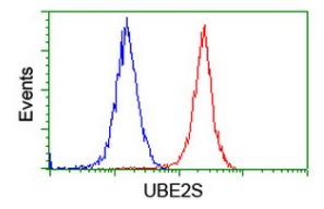 Flow cytometry image of HeLa cells (red) or a nonspecific negative control antibody (blue) labelling UBE2S with ab131608 at a 1/100 dilution.